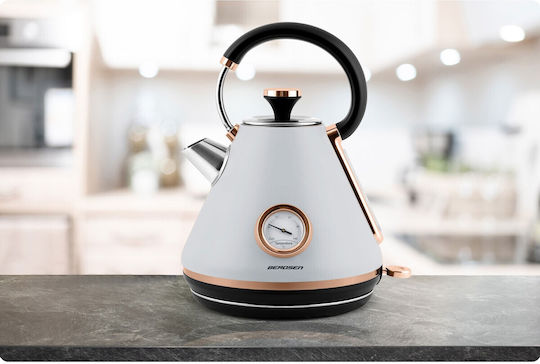 Berdsen BD-701 Kettle 1.7lt 2200W Gray