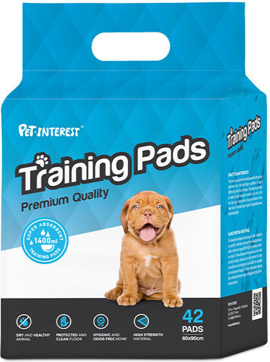 Pet Interest Training Pads Dog Floor Diapers 60x60cm 42pcs 60pcs