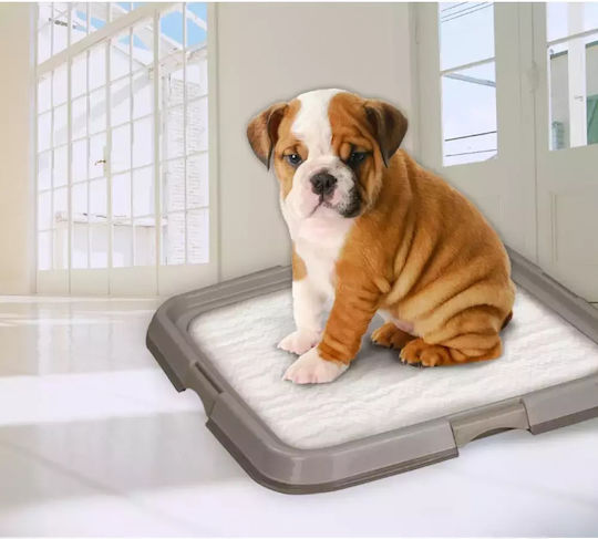 Pawise Pee Pad Tray Pampers pentru câini 60x60cm - 60cm 1buc