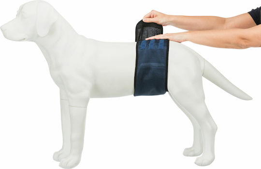 Trixie Pampas Hundewindeln Männliche wiederverwendbare Windel mit 3 Ersatzpads Klein 29 - 37cm 1Stück