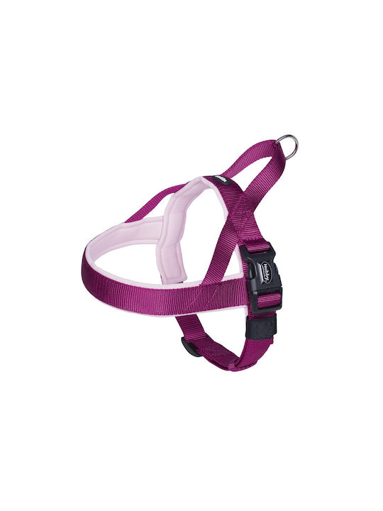 Nobby Classic Preno Κολάρο Medium / Large 25mm x 40 - 55cm Nobby Classic Preno Κολάρο Medium / Large 25mm x 40 - 55cm