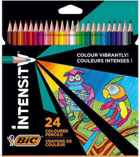 BIC Ξυλομπογιές Σετ 24 χρώματα