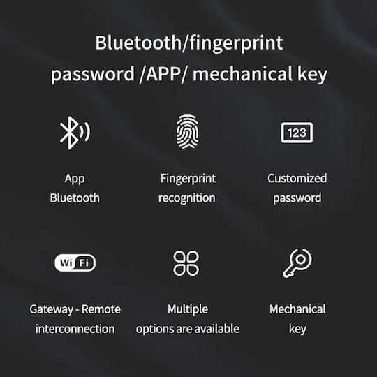 Roza Smart Wifi Κλειδαριά Κωδικό Αποτύπωμα App Cps01