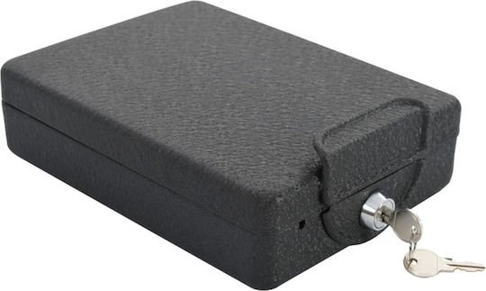 vidaXL Safe L16xW22xH7cm 42011320