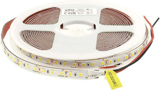 Vito LED Strip 12V Cold White Light 5m Type SMD2835