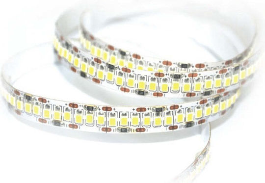 Vito LED Strip 12V Natural White Light 5m Type SMD2835