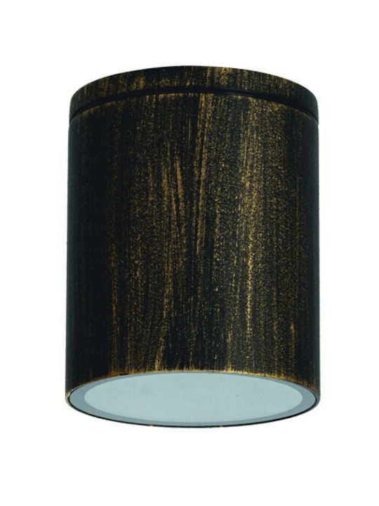 Aca Waterproof Outdoor Ceiling Spot GU10 in Gray Color LG2301GU10G