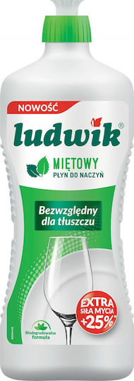 Ludwik Inco Μέντα 900ml