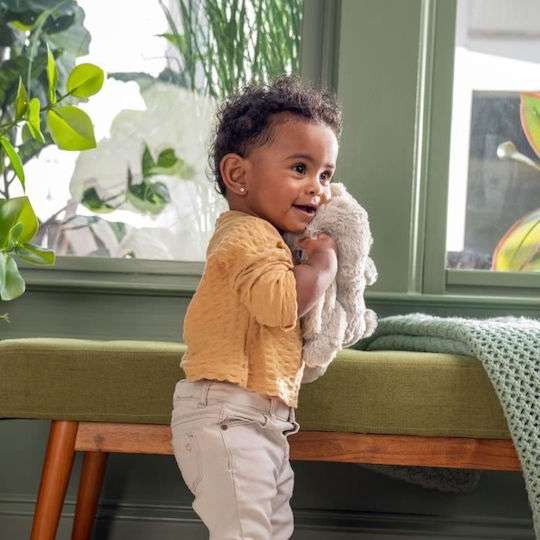 Ingenuity Baby Toy made of Fabric with Music and Light