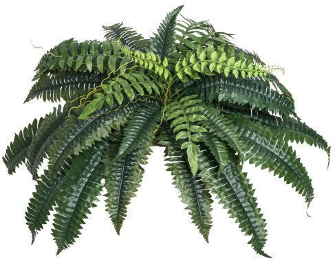 Artificial Decorative Branch Fern Green 25cm 2pcs Vevor