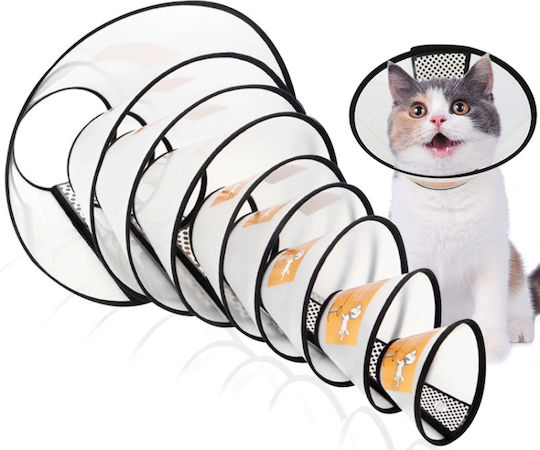 Schutzabdeckung Katzenhalsband Transparent