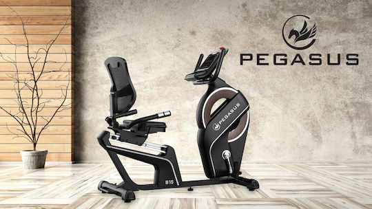 Pegasus B15 Седящо Велосипед за Фитнес Магнитно
