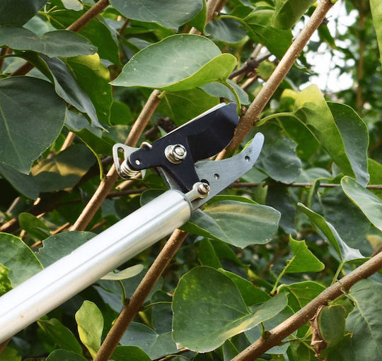 Pruning shears Telescopic Hacksaw 365300