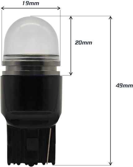W21w LED Birne 7440 12V Canbus 900lm Rote