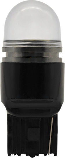 W21w LED Birne 7440 12V Canbus 900lm Rote