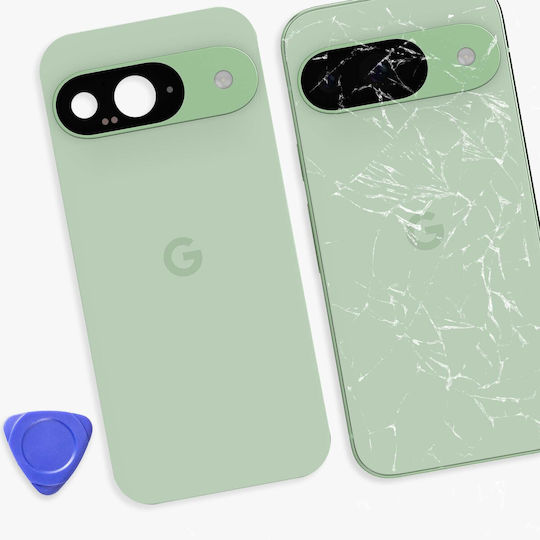 Google Rear Window Google Pixel 9 Original Service Pack Pale Green
