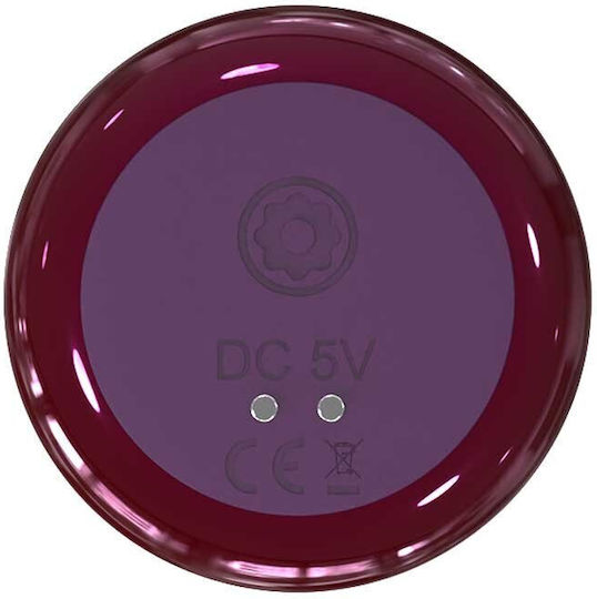 Dream Toys Πρωκτική Σφήνα με Δυνατότητα Ασύρματης Λειτουργίας και Δόνηση Κόκκινη