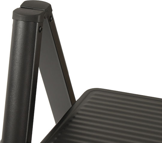 Vesta Step Ladder Iron 2 Steps 44cm
