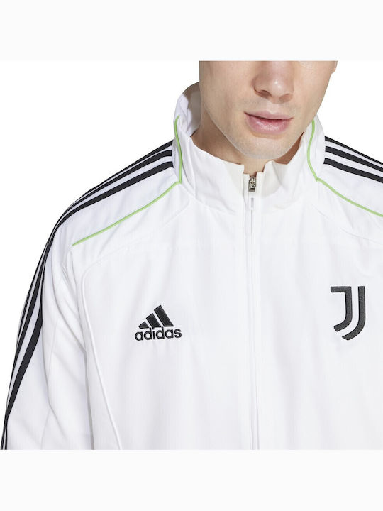JUVE UBP TT Ζακέτα Λευκό