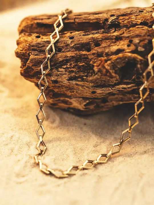 Gold Chain Neck 9K