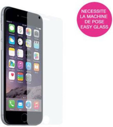 Mw Easy Glass Standard Tempered Glass Screen Protector Iphone 6 Plus/6s Plus Transparent
