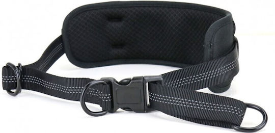 K9 Evolution Waist Belt Running Dog Leash Lead Jogging Set Compact