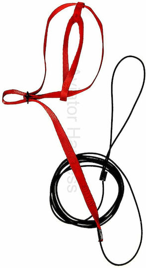Aviator Red Flight Leash Parrot Xxxs Mini