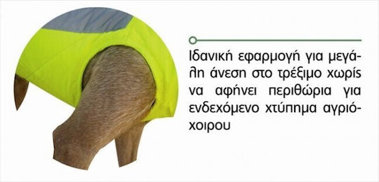 Dog Protection Vest Colour Yellow Outdoor Alpha Pro T75