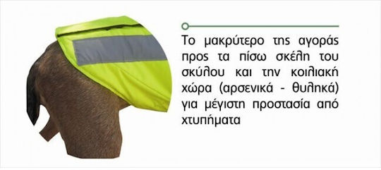 Dog Protection Vest Colour Yellow Outdoor Alpha Pro T75