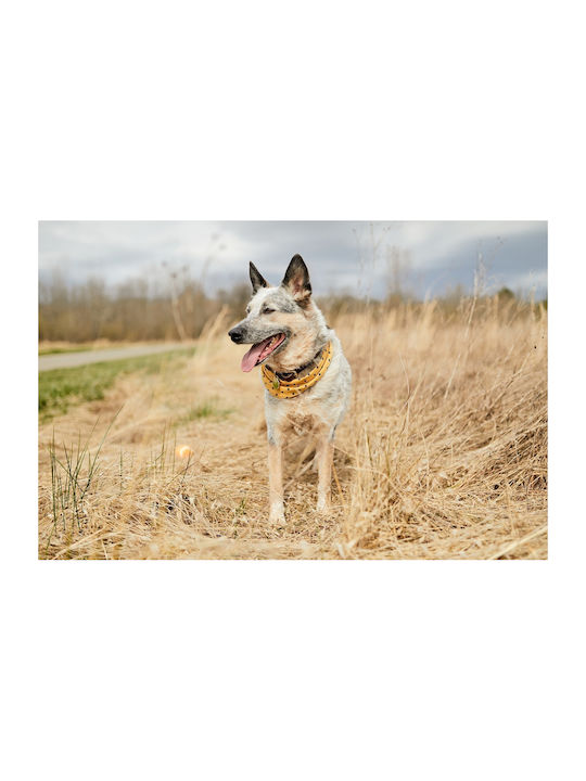Designworks Dog Bandana in Green Color