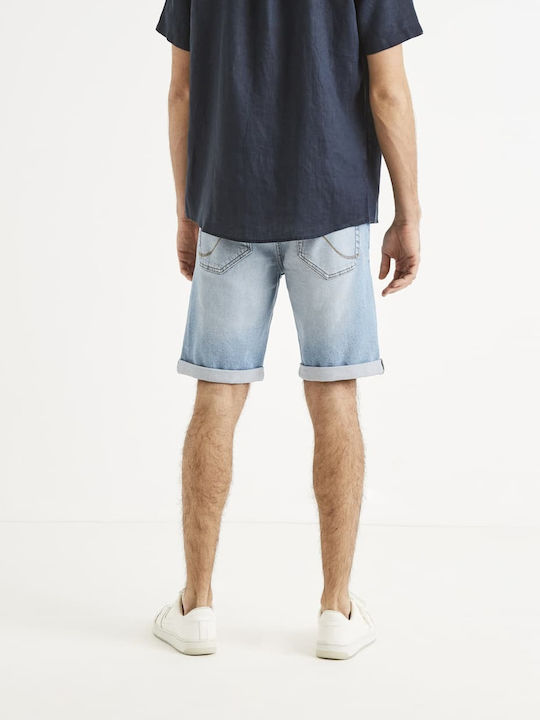 Celio* Jean Bερμουδα Σκισιματα