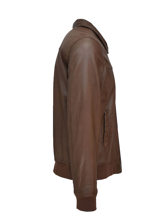 Arma Bomber Sheep Anvers 022g181024-07 Java