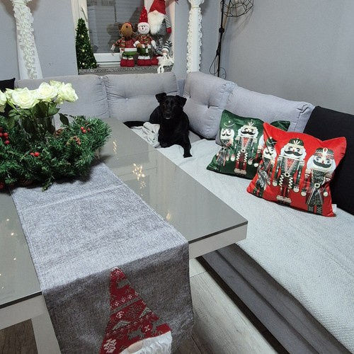 Ruhhy Christmas Decorative Pillow Case Square Green 40x40cm