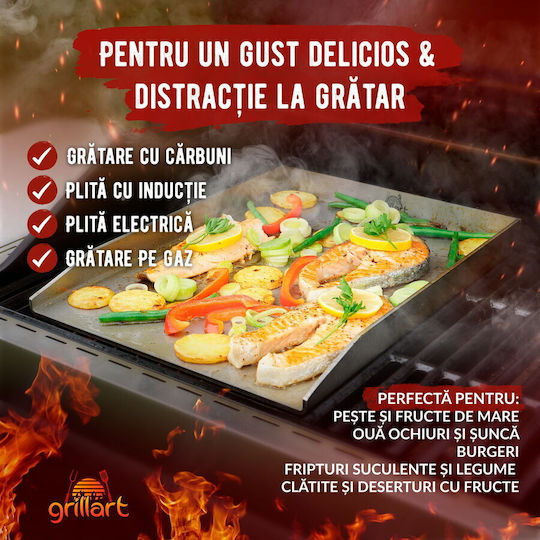 Placă de copt cu Suprafață din Inox Cositorit 40x30x3.6cm