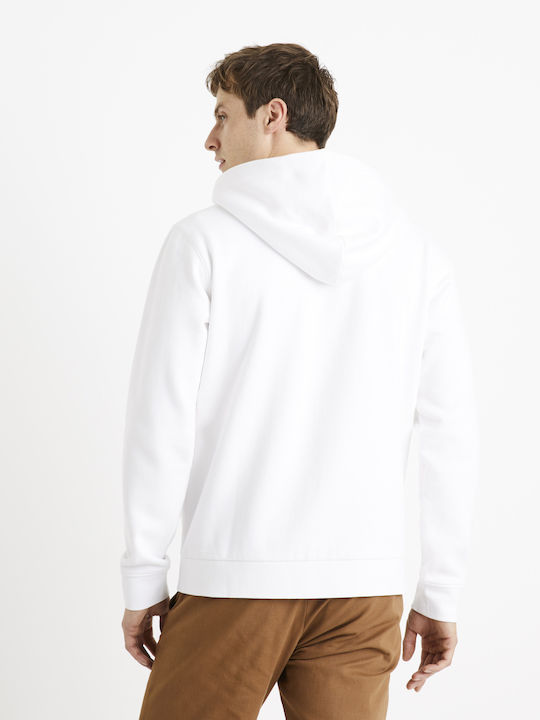 Celio Celio