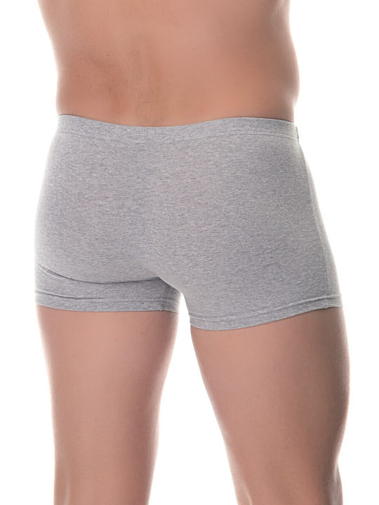 Herren Boxershorts Gray 4Packung