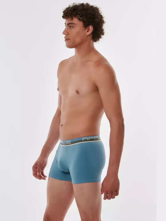 Apple Boxer Apple Boxer