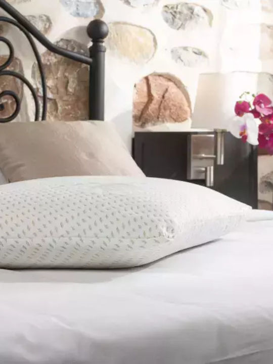 Alpha Foam Classic Aloe Vera Anatomic Memory Foam Bed Pillow 45x65x14cm