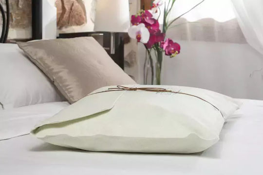 Alpha Foam Classic Aloe Vera Memory Foam Ανατομικό
