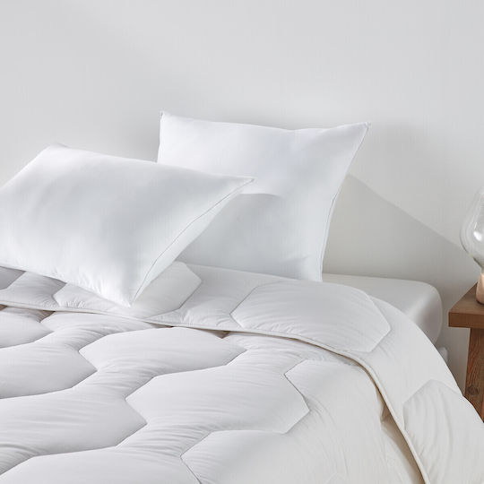 La Redoute Interieurs Essentiel Polyester 40x60cm