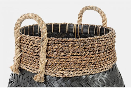 Priscilla L Rattan
