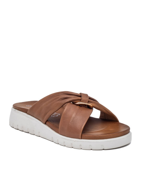 Air Anesis