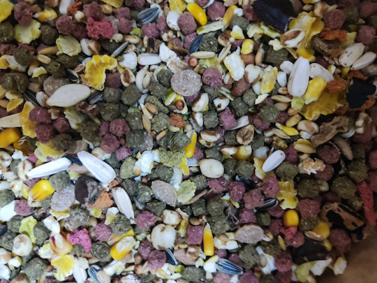 Witte Molen Treats for Rabbit / Chinchilla Croq 12.5kg