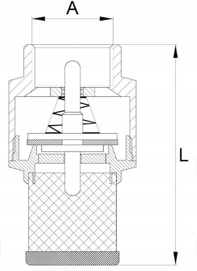 Brass Check Valve Suction Basket 1 Inch