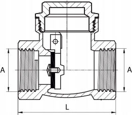 1 Inch Flap Check Valve