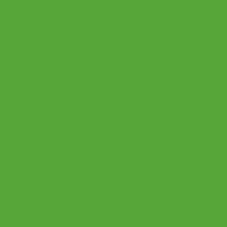 Champion Color Σπρέι Βαφής Πράσινο RAL 6018 400ml