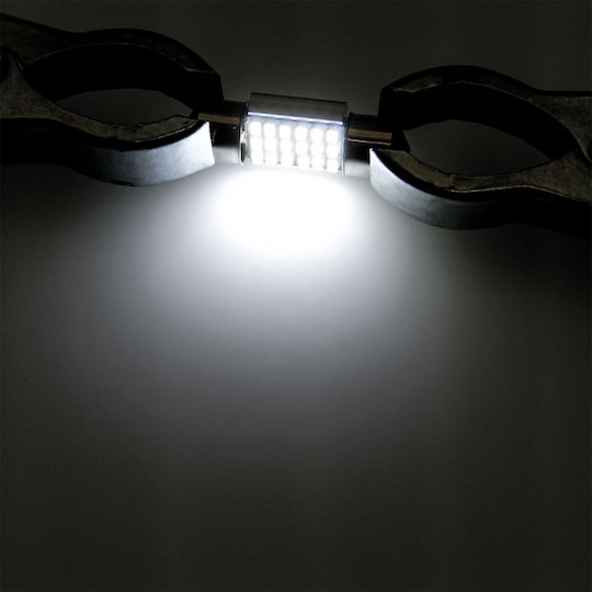 Lamps Car & Motorcycle C5W Canbus LED 6500K Cold White 12V 1pcs