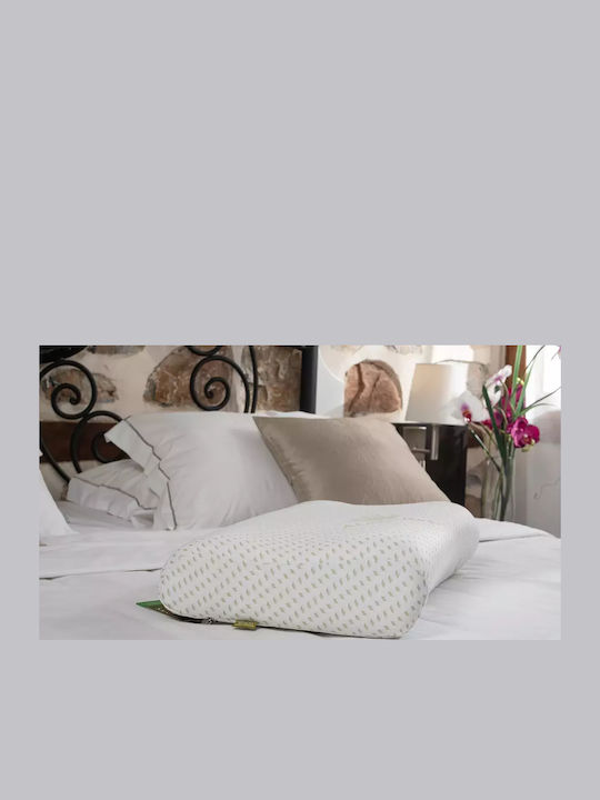 Alpha Foam Smile Aloe Vera Μαξιλάρι Ύπνου Memory Foam Ανατομικό 36x60x13cm