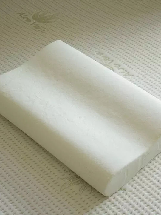 Alpha Foam Deluxe Aloe Vera Anatomic Memory Foam Bed Pillow