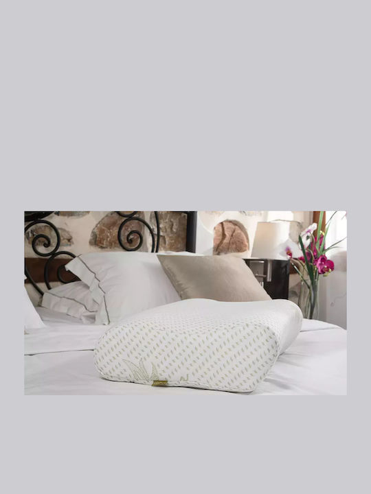 Alpha Foam Smile Aloe Vera Μαξιλάρι Ύπνου Memory Foam Ανατομικό 36x60x13cm